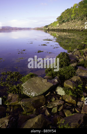 Blick durch West aus dem Norden Shorline über oberen Loch Torridon, Wester Ross, Highlands, Schottland Stockfoto