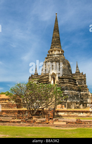 Stupas von Wat Si Sanphet Ayutthaya Thailand Stockfoto