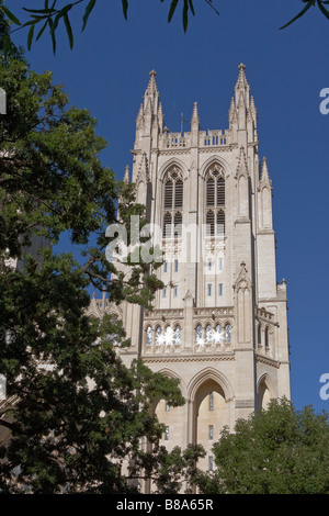 Späten Nachmittag Sonne Schimmer in den Glasfenstern der Washington National Cathedral Stockfoto