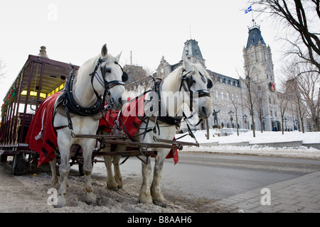 Pferde und Wagen erwarten Fahrer in der Nähe von Parlament Quebec City, Kanada Stockfoto