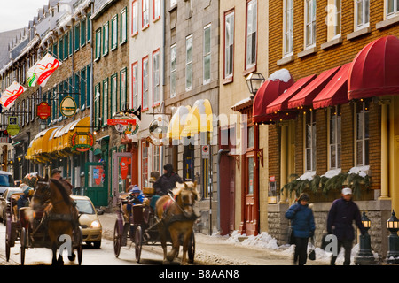 Pferde-Kutschen Fahrten für Touristen auf der Rue Saint-Louis alte Stadt Quebec City, Kanada Stockfoto