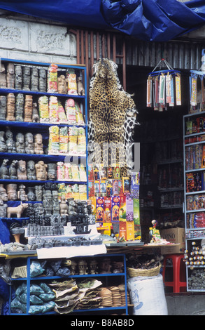 Die Haut von jaguar (Panthera onca) hängt neben dem Ladeneingang im Hexenmarkt / Mercado de las Brujas, La Paz, Bolivien Stockfoto
