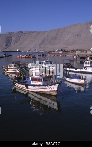 Angelboote/Fischerboote im Hafen von Iquique, Chile Stockfoto