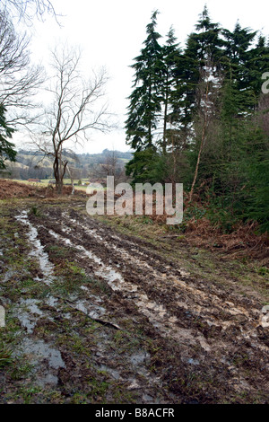 Eine schlammige track in einen englischen Park Holz Holz Burwash East Sussex an einem kalten Winter s Tag ein Zeichen für harte Zeiten voraus? Stockfoto