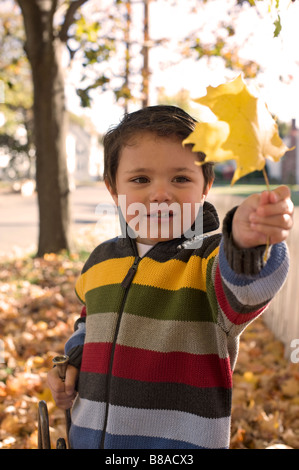 Drei Jahre alter Junge spielt außerhalb an einem Herbsttag Stockfoto