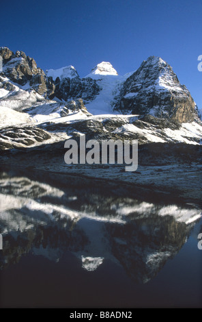 Mt Anfahrt spiegelt sich im See Chiar Kota, Cordillera Real, Bolivien Stockfoto