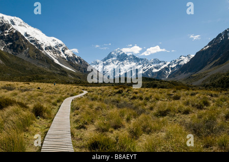 Baordwalk durch das Hooker Valley, Mt. Cook im Hintergrund Stockfoto