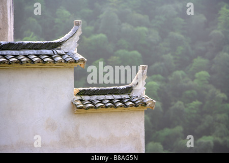 China Anhui Mount Huangshan Bereich Bambuswald und Traufe Stockfoto