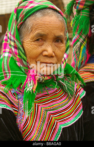 Flower Hmong-Frau in traditioneller Kleidung, Sapa, Vietnam Stockfoto