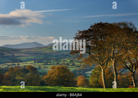 hügeligem Ackerland am Rande des Snowdonia National Park, nr Ysbyty Ifan, Conway County, North Wales Stockfoto