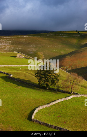 steinernen Mauern und Scheunen Nr. Kettlewell, Wharfedale, Yorkshire Dales National Park, England, UK Stockfoto
