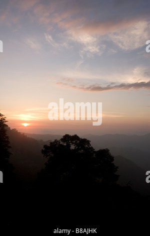 Abend in den Tälern in der Nähe von Shimla. Stockfoto