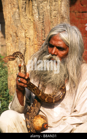 Snake Charmer eine Schlange in Indien hält. Stockfoto