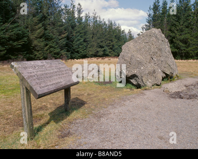 Bruces Stein Moos Raploch, Clatteringshaw Loch, Galloway Forest Park, Dumfries & Galloway, Schottland, Großbritannien. Stockfoto