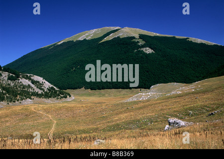 Italien, Basilicata, Nationalpark Pollino, Piano Ruggio und Monte Serra del Prete Stockfoto