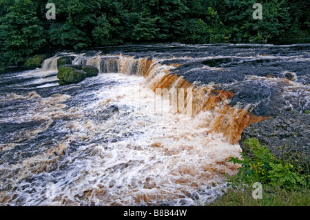 Aysgarth Falls Hochwasser nach starken Regenfällen im Herbst Stockfoto