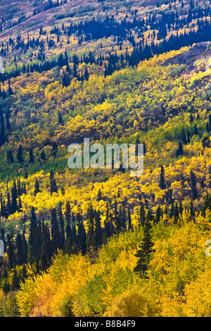 Herbstliche Landschaft, Yukon Territorien, Kanada Stockfoto