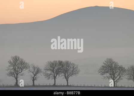 Tinto Hill am Ende einer Erkältung gefrorenen Wintertag South Lanarkshire Scotland Dezember Stockfoto