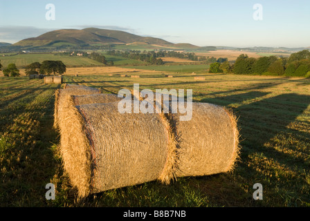 Stroh Ballen Stoppelfeldern und hügelige Ackerland mit Tinto Hill hinter South Lanarkshire Scotland Oktober Stockfoto