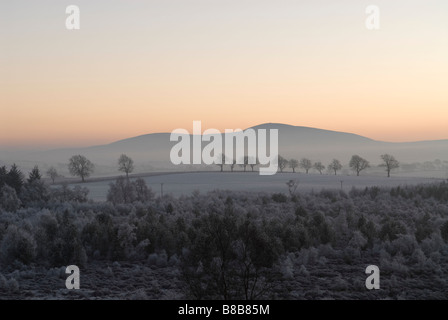 Tinto Hill am Ende einer Erkältung gefrorenen Wintertag South Lanarkshire Scotland Dezember Stockfoto