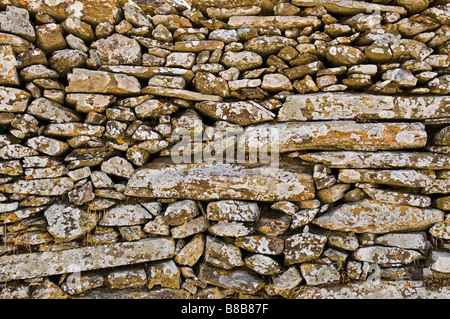 Eine alte Trockenmauer bedeckt in Flechten an Vathia in die Tiefe Mani Süd-Peloponnes-Griechenland Stockfoto