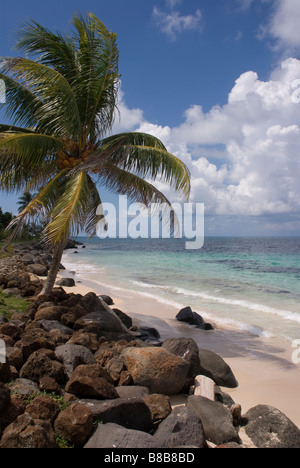 Der Strand von Sally Peachie, Big Corn Corn Islands, Nicaragua Stockfoto