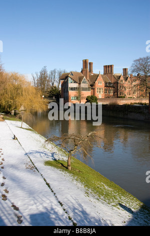 'Trinity Hall' College betrachtet von 'The Backs"in Cambridge, England, Vereinigtes Königreich. Stockfoto