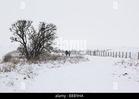 Ein Paar geht mit seinem Hund auf dem Ridgeway National Trail, der im Winter schneebedeckt ist, in der Nähe von Marlborough, England, Großbritannien Stockfoto