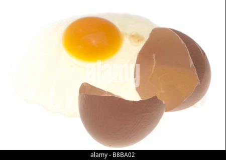 Rohes Ei mit Schale gebrochen Stockfoto