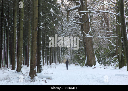 Ein Wanderer, der durch den Schnee am Heavens Gate, dem Longleat Estate, Warminster, Wiltshire, Großbritannien spazieren geht Stockfoto