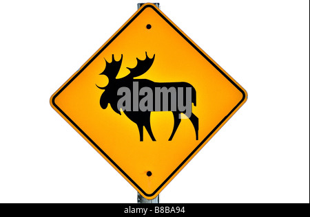 Elch-Warnschild 0960 Stockfoto