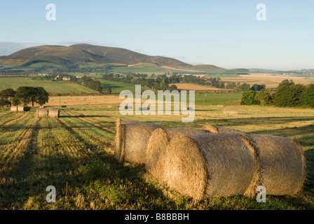 Stroh Ballen Stoppelfeldern und hügelige Ackerland mit Tinto Hill hinter South Lanarkshire Scotland Oktober Stockfoto