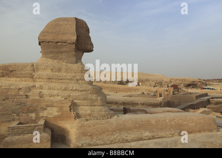 Die Sphinx Ansicht, Gizeh, Kairo, Ägypten Stockfoto