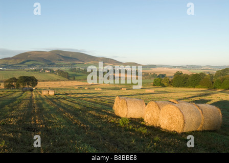 Stroh Ballen Stoppelfeldern und hügelige Ackerland mit Tinto Hill hinter South Lanarkshire Scotland Oktober Stockfoto