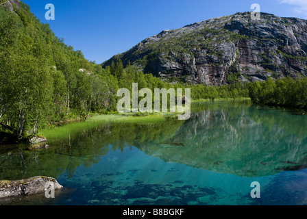 Storskogelva Fluss auf dem Weg von Lakshola nach Rago Nationalpark, Sørfold, Nordland, Norwegen Stockfoto