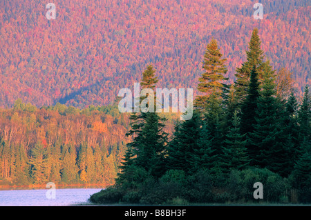 Bathurst Lake, Mount Carleton Provincial Park, New Brunswick Stockfoto