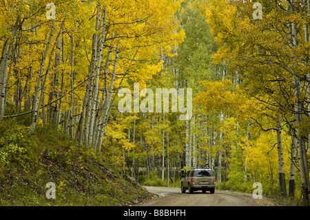 Fahrzeug fährt durch herbstliche Farben, Ruby Anthrazit Creek, Kebler Passstrasse, West Elk Scenic Byway, Colorado. Stockfoto