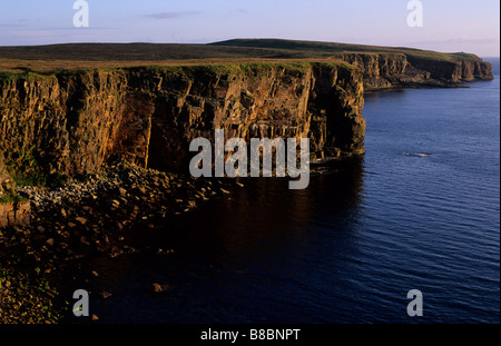 MULL KOPF LOKALEN NATURSCHUTZGEBIET AN DER WEST KÜSTE VON MAINLAND ORKNEY BEI SONNENAUFGANG JULI Stockfoto