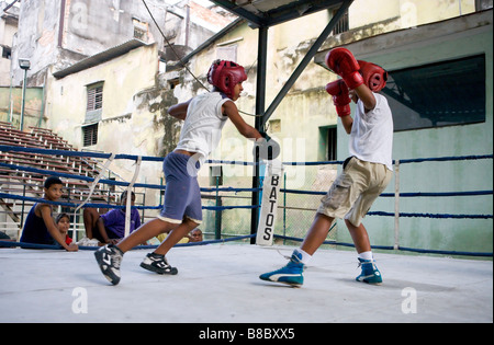 Jungen Boxen, Rafael Trejo Gym, Alt-Havanna, Kuba Stockfoto