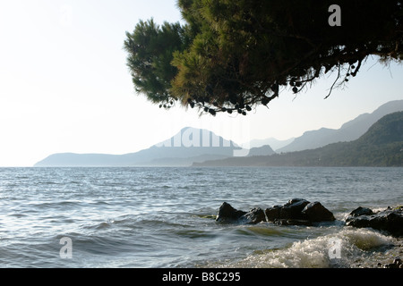 Ein Baum Tannenzweig hängen über den malerischen Blick auf Adria Stockfoto