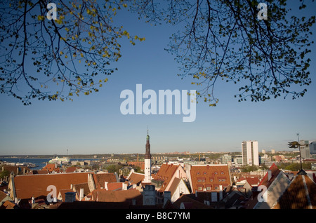 Tallin Stolica Estonii Tallin, der Hauptstadt von Estland Stockfoto