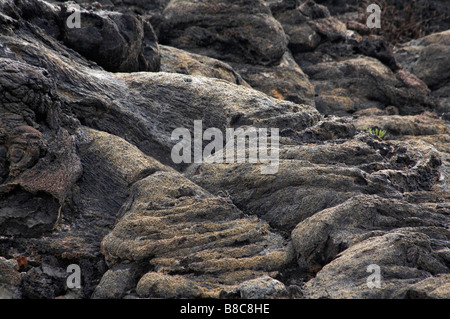 Lava-Röhren Abstract über chinesische Hut Insel, Insel Santiago, Galapagos, Ecuador im September Stockfoto