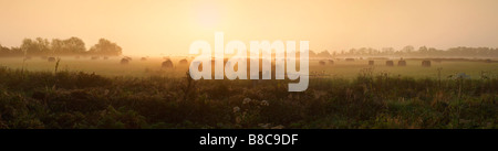 Heuballen im Nebel bei Sonnenaufgang in der Norfolk Landschaft Acle Norfolk Stockfoto