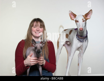 Porträt Mexican Hairless ibizenkische Jagdhund Besitzer Stockfoto