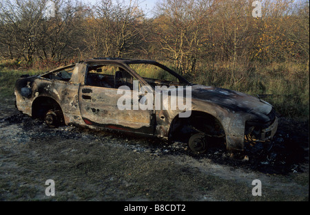 Ausgebrannte Autos in der Natur Stockfoto