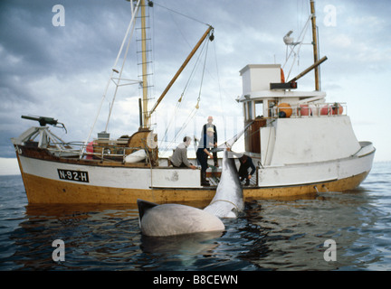 NORWEGISCHE WALFÄNGER Stockfoto