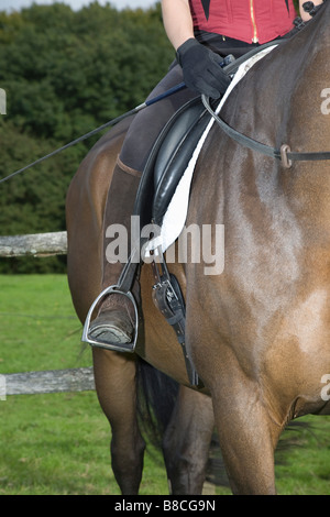 Weibliche Reiterin sitzt auf dem braunen Pferd, beschnitten Stockfoto