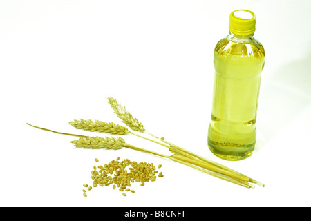 Weizen (Triticum sp.). Öl, Ohren und Samen, Studio Bild Stockfoto