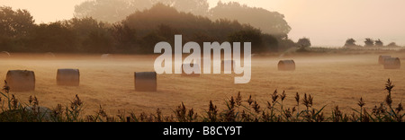 Heuballen im Nebel im Morgengrauen in der Norfolk-Landschaft Stockfoto