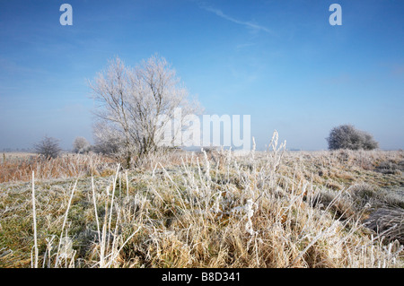 Gefrorene hoar Matt Marsh Land von St Benet Abtei auf den Norfolk Broads Stockfoto